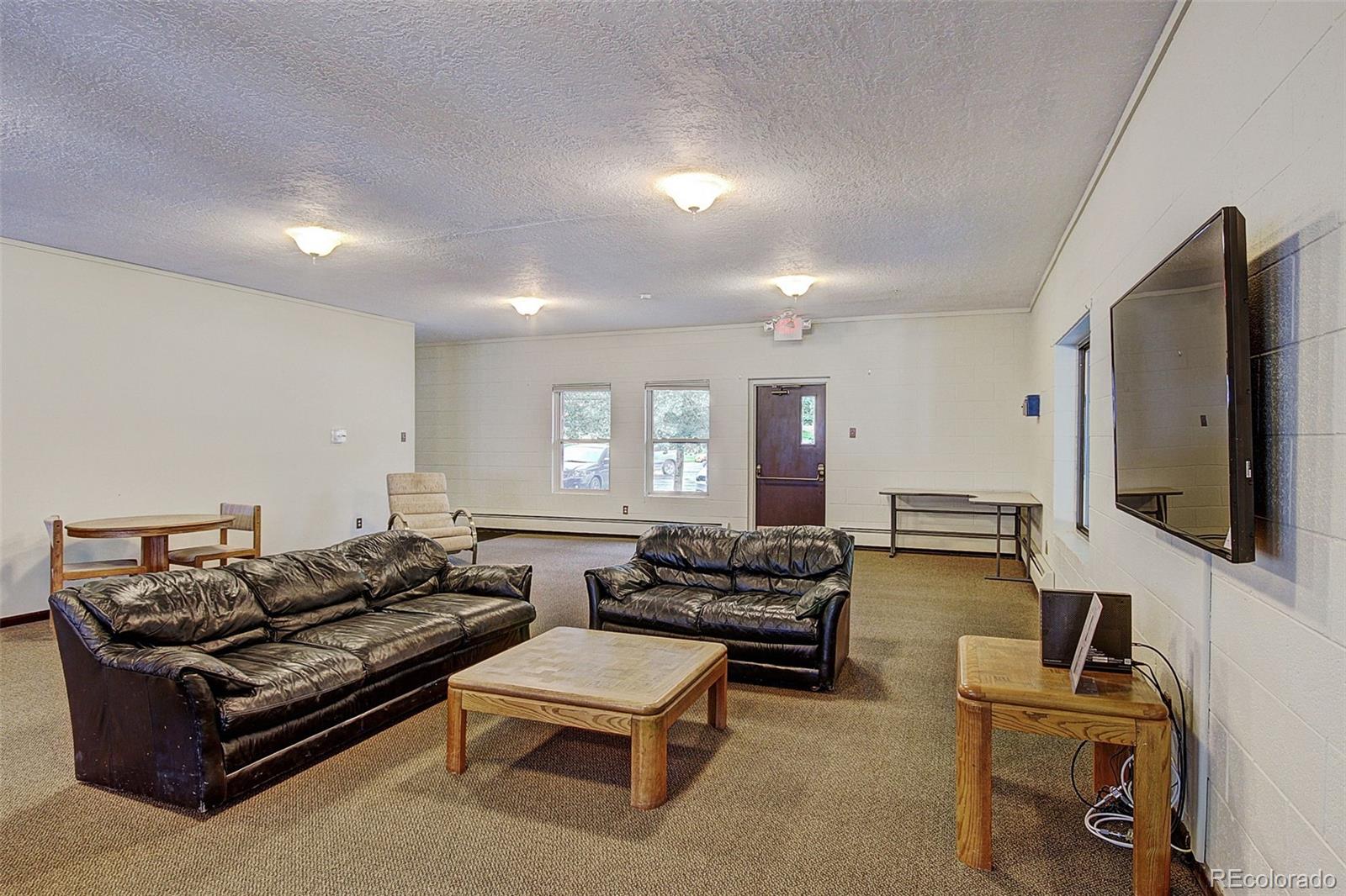 MLS Image #22 for 893  straight creek drive,dillon, Colorado