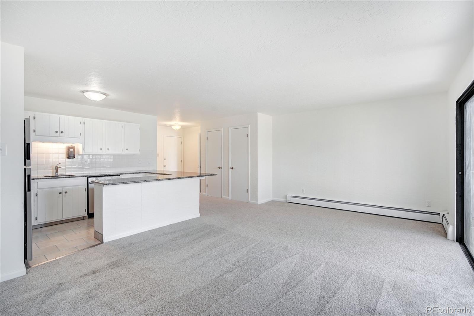 MLS Image #5 for 893  straight creek drive,dillon, Colorado