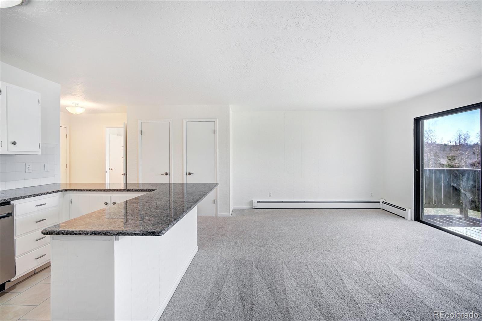MLS Image #6 for 893  straight creek drive,dillon, Colorado