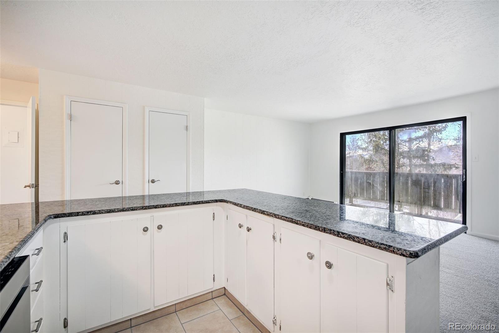 MLS Image #7 for 893  straight creek drive,dillon, Colorado