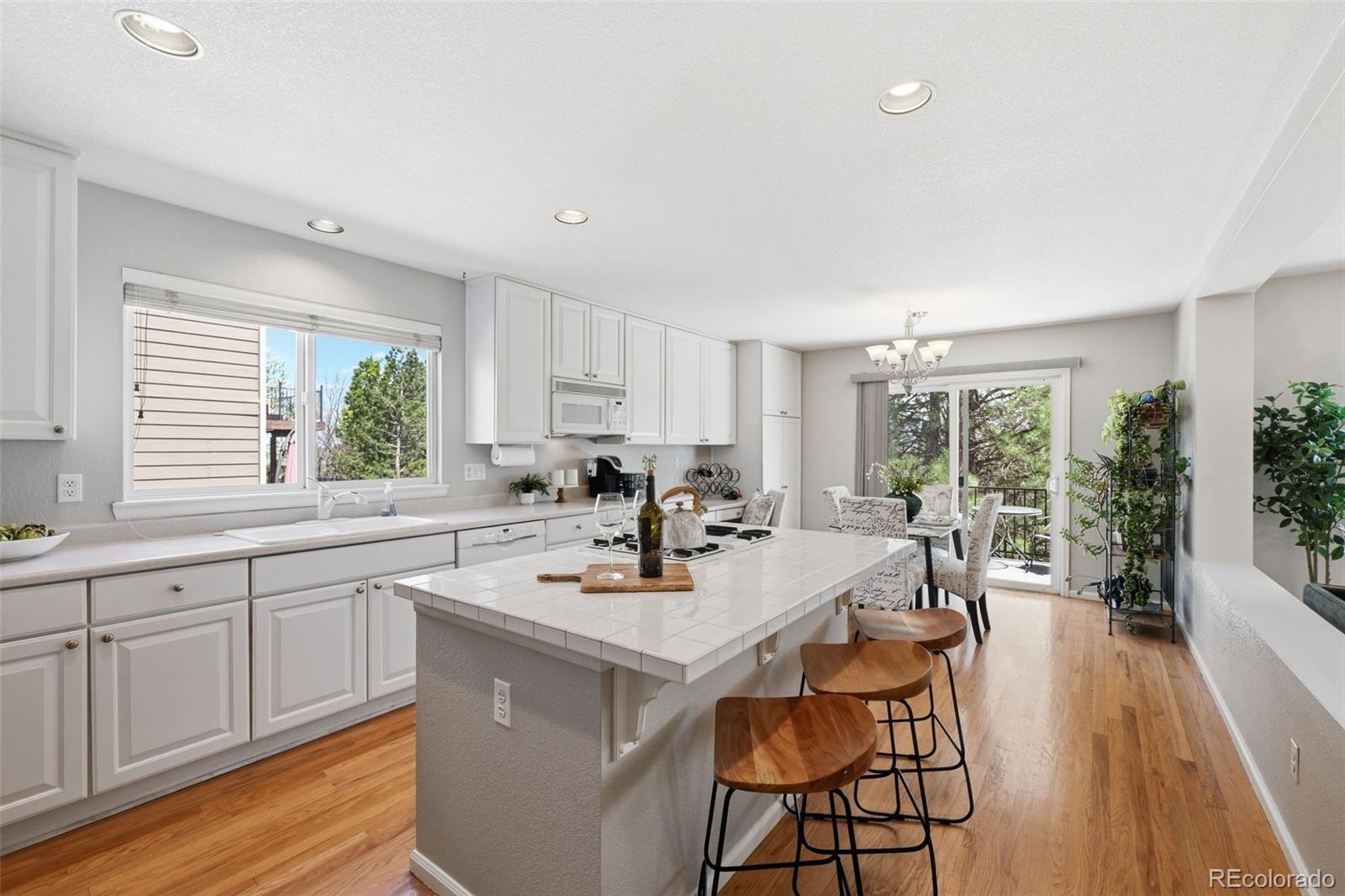 MLS Image #13 for 10062  glenstone circle,highlands ranch, Colorado