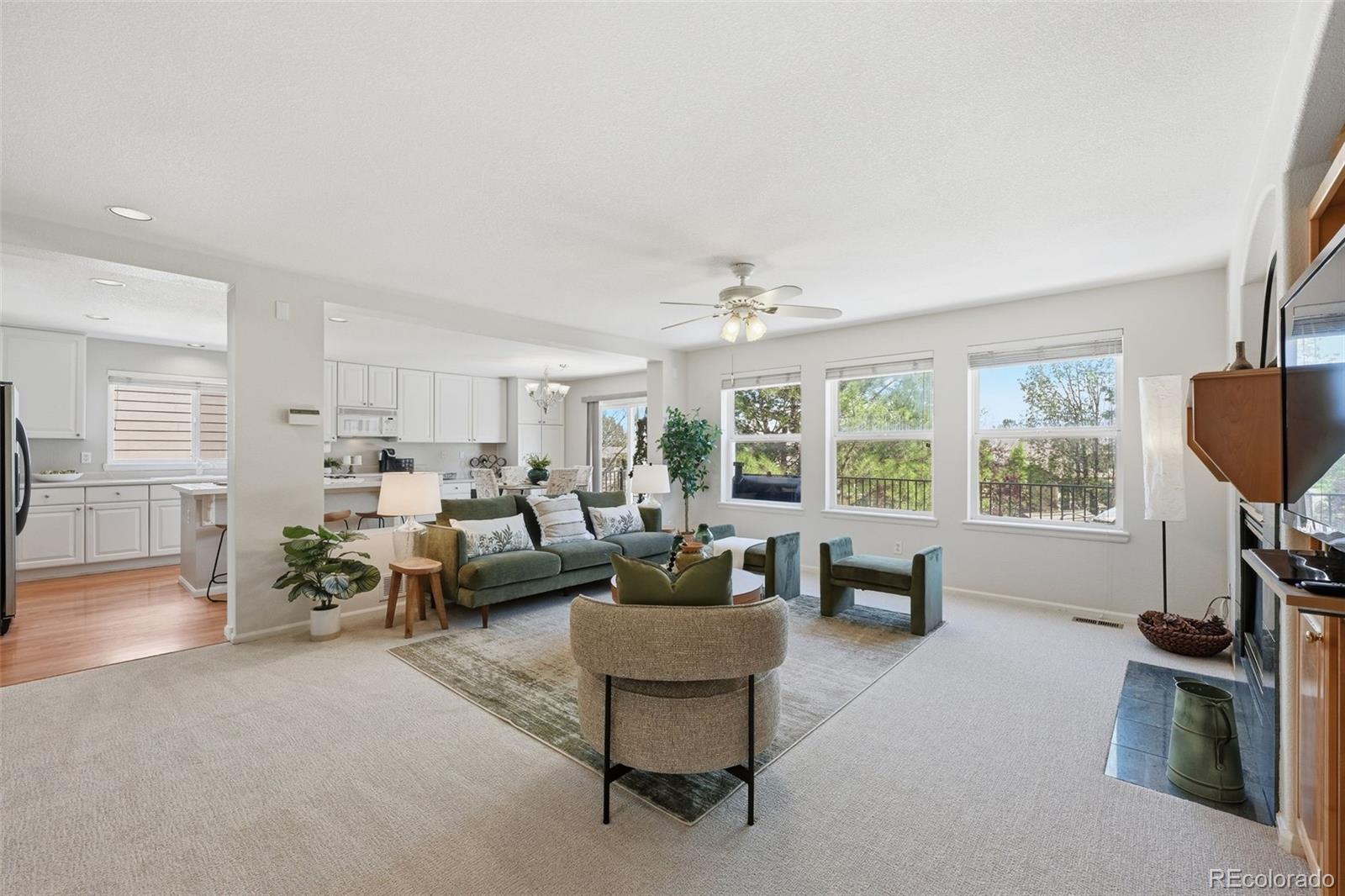 MLS Image #16 for 10062  glenstone circle,highlands ranch, Colorado