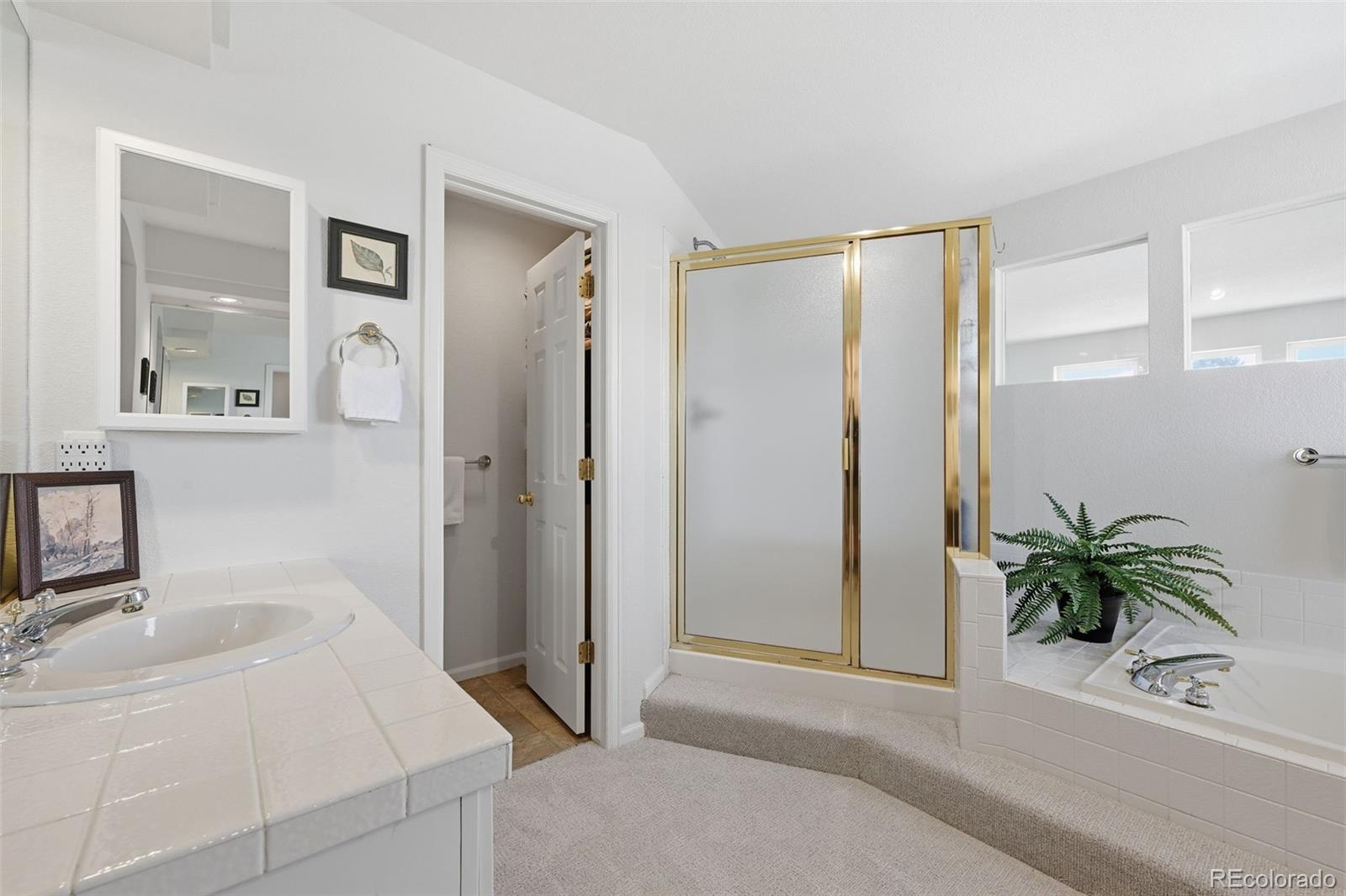 MLS Image #29 for 10062  glenstone circle,highlands ranch, Colorado