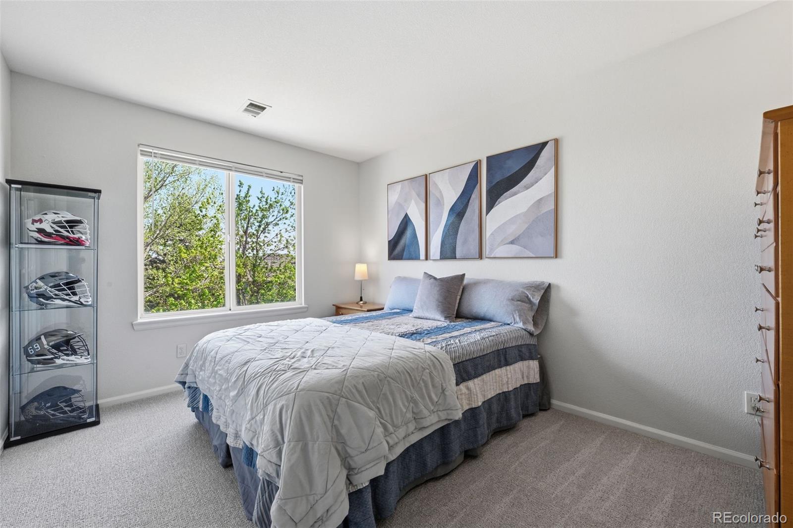 MLS Image #30 for 10062  glenstone circle,highlands ranch, Colorado