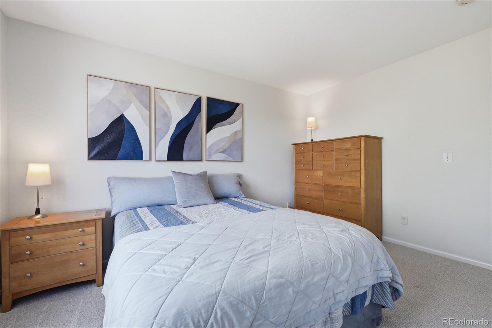 MLS Image #31 for 10062  glenstone circle,highlands ranch, Colorado