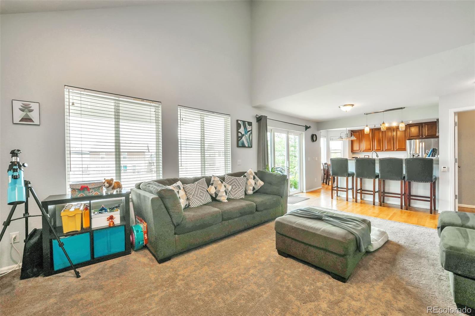 MLS Image #12 for 8351  feather grass court,parker, Colorado
