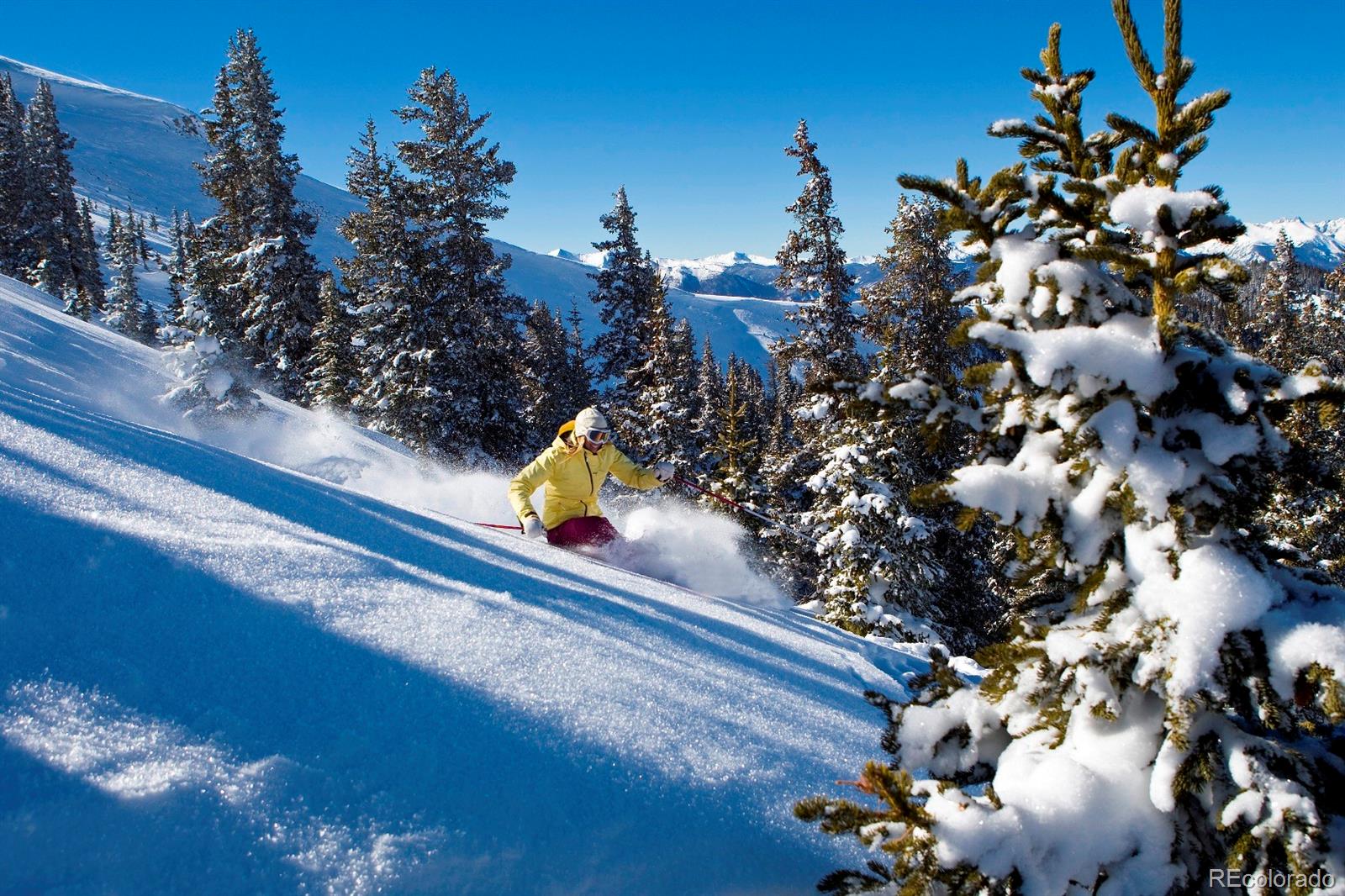 MLS Image #40 for 91  river run road,dillon, Colorado