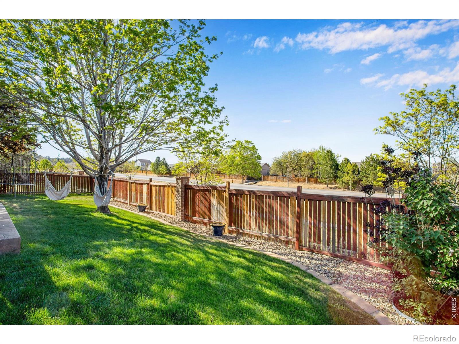 MLS Image #10 for 3765  downieville street,loveland, Colorado