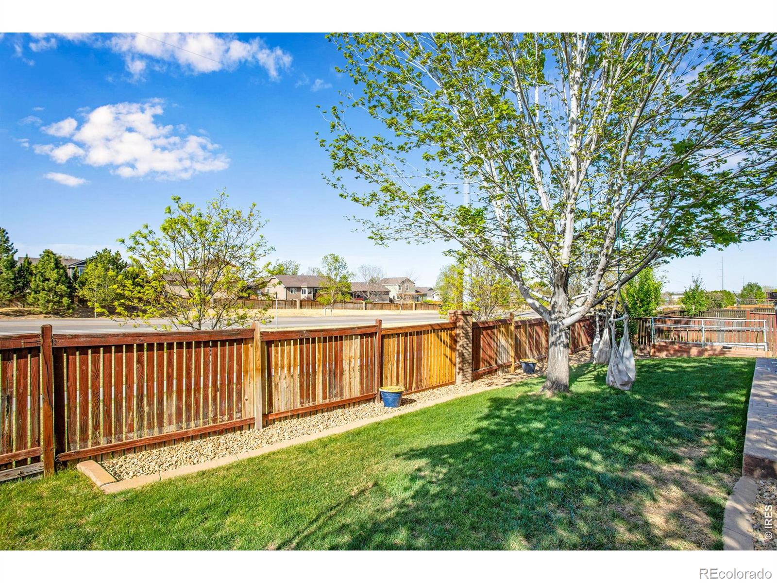 MLS Image #11 for 3765  downieville street,loveland, Colorado