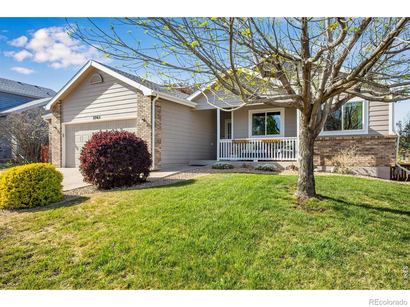 MLS Image #15 for 3765  downieville street,loveland, Colorado