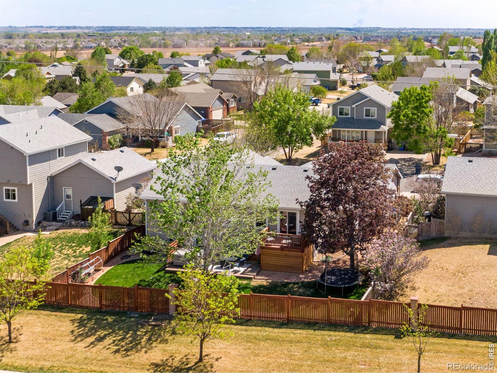 MLS Image #2 for 3765  downieville street,loveland, Colorado