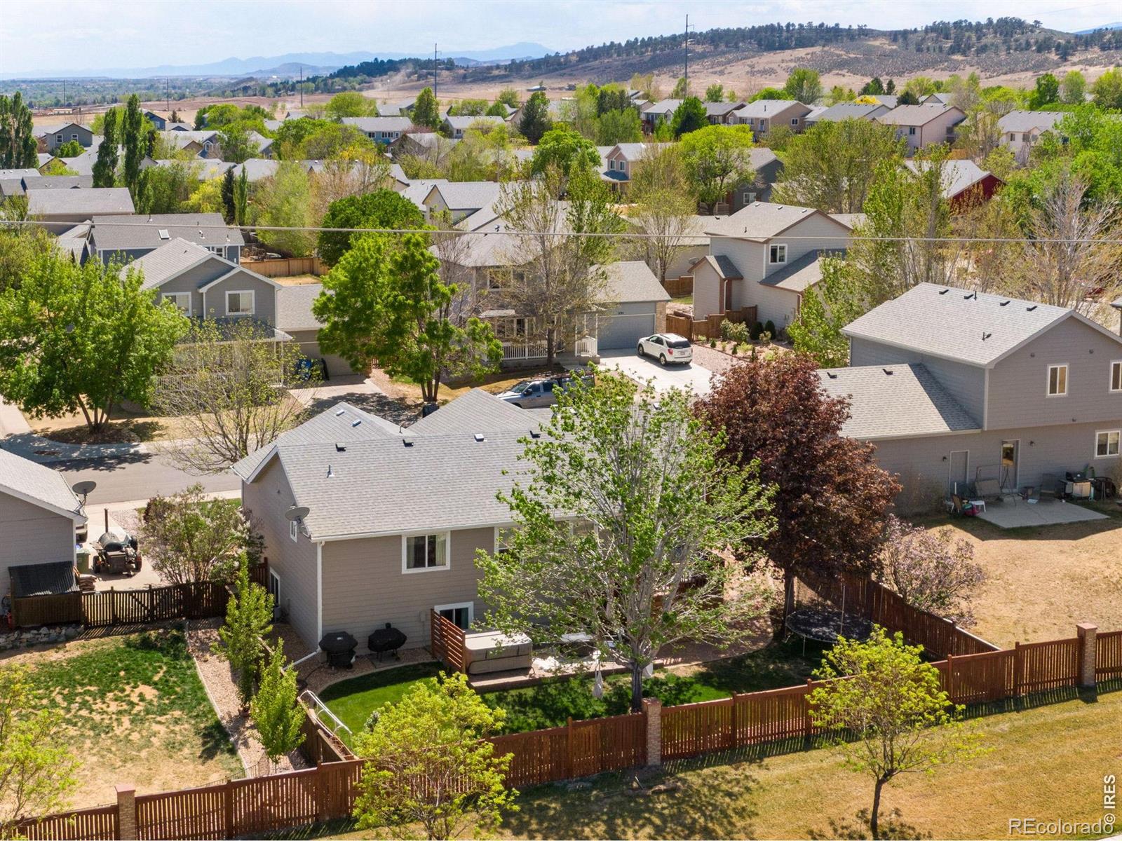 MLS Image #3 for 3765  downieville street,loveland, Colorado
