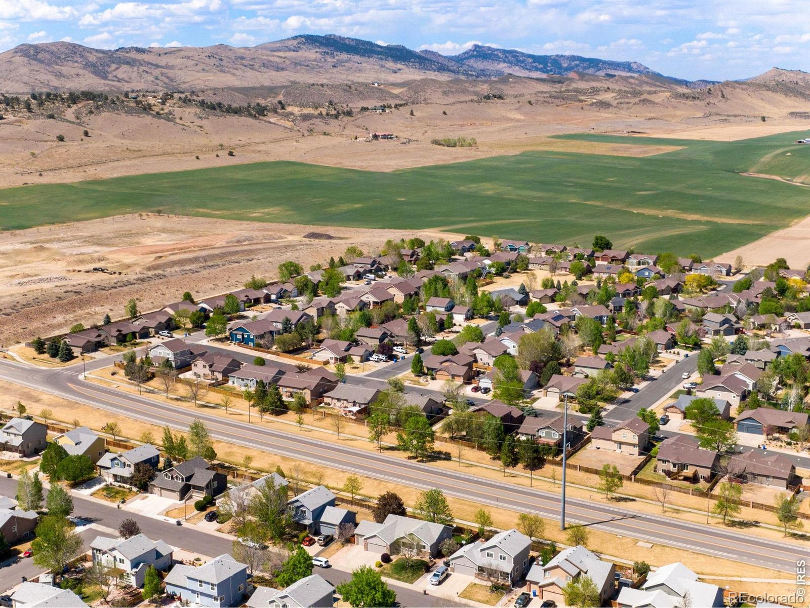 MLS Image #4 for 3765  downieville street,loveland, Colorado