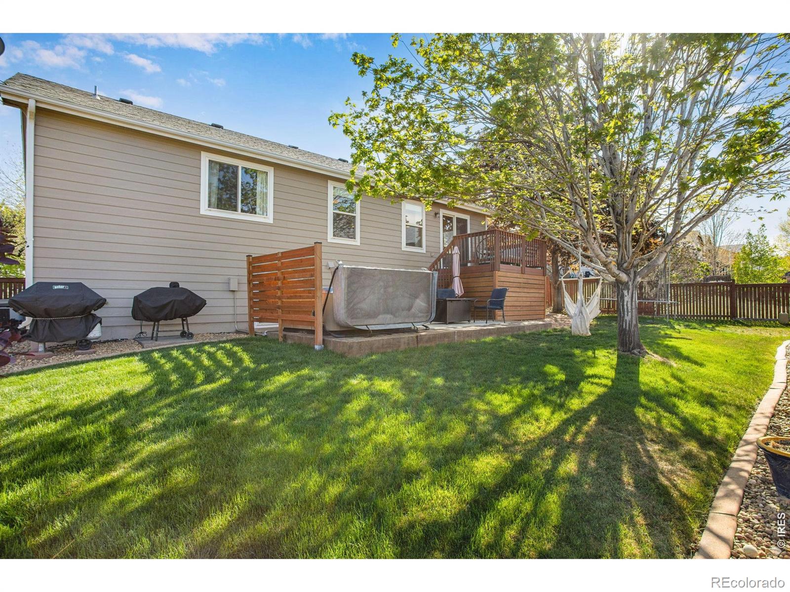 MLS Image #6 for 3765  downieville street,loveland, Colorado