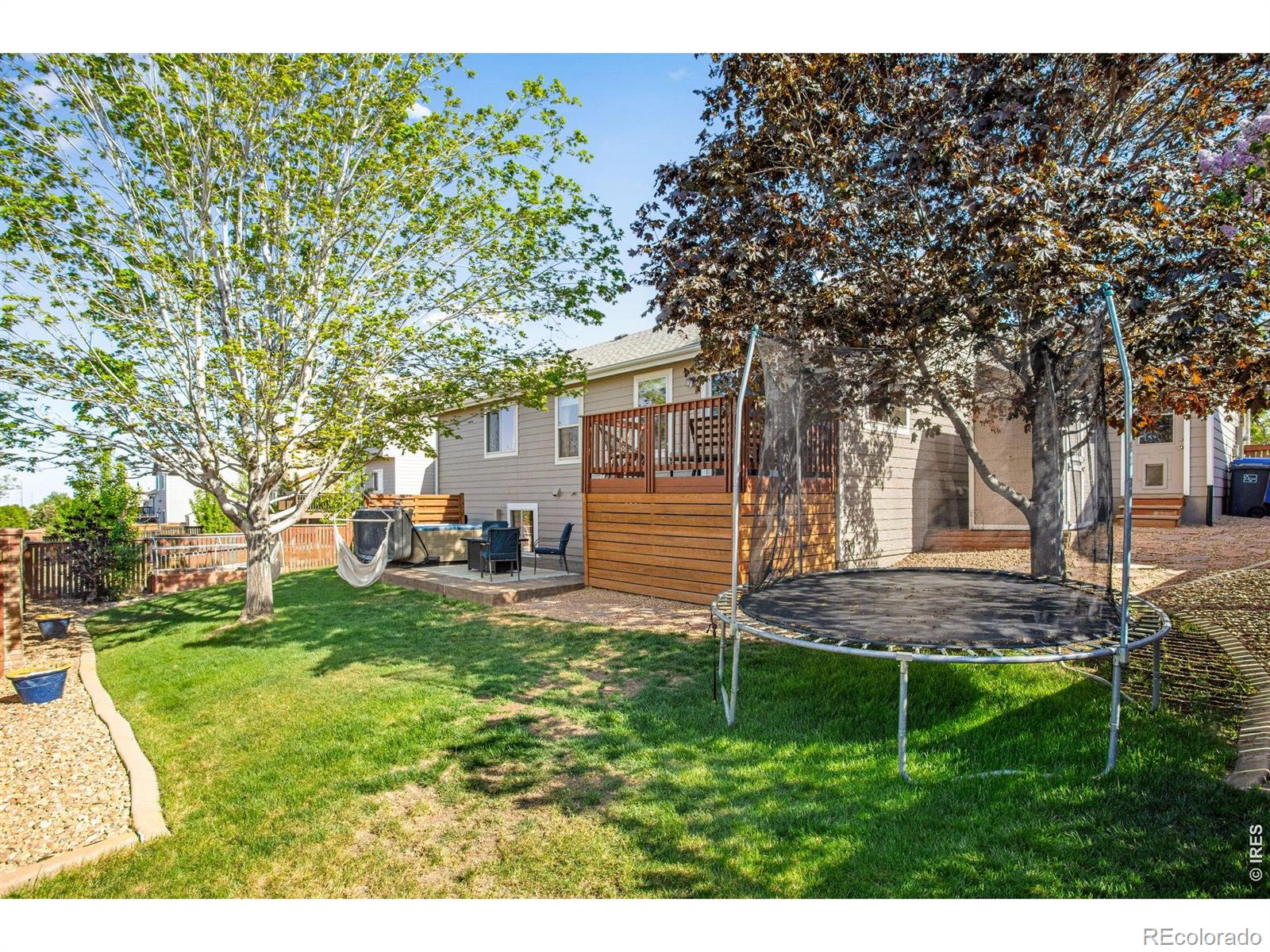 MLS Image #7 for 3765  downieville street,loveland, Colorado