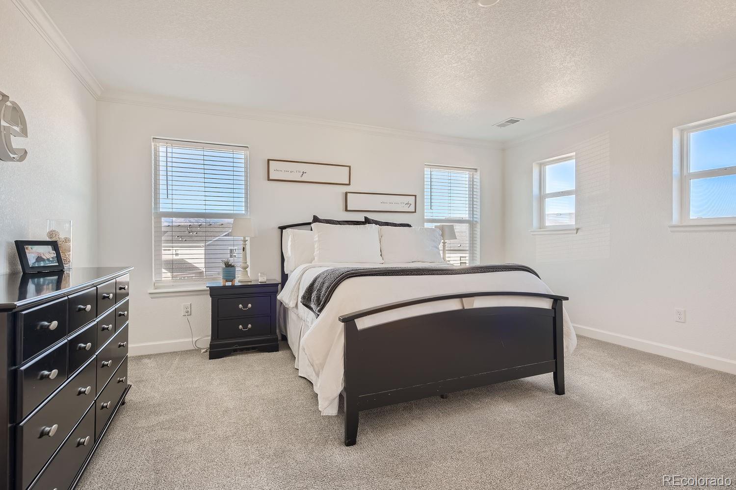 MLS Image #18 for 8137  ralston creek avenue,littleton, Colorado