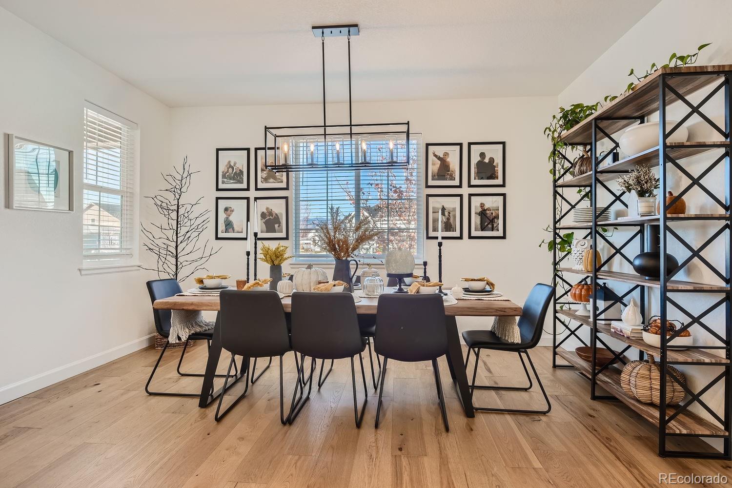 MLS Image #3 for 8137  ralston creek avenue,littleton, Colorado