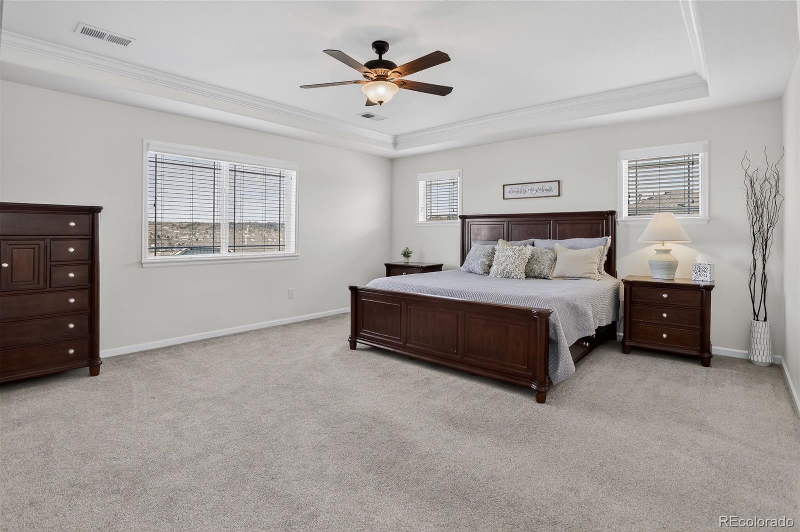 MLS Image #16 for 1205  bonnyton place,castle rock, Colorado