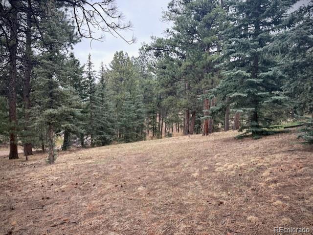 MLS Image #20 for 3518 s saddle road,evergreen, Colorado