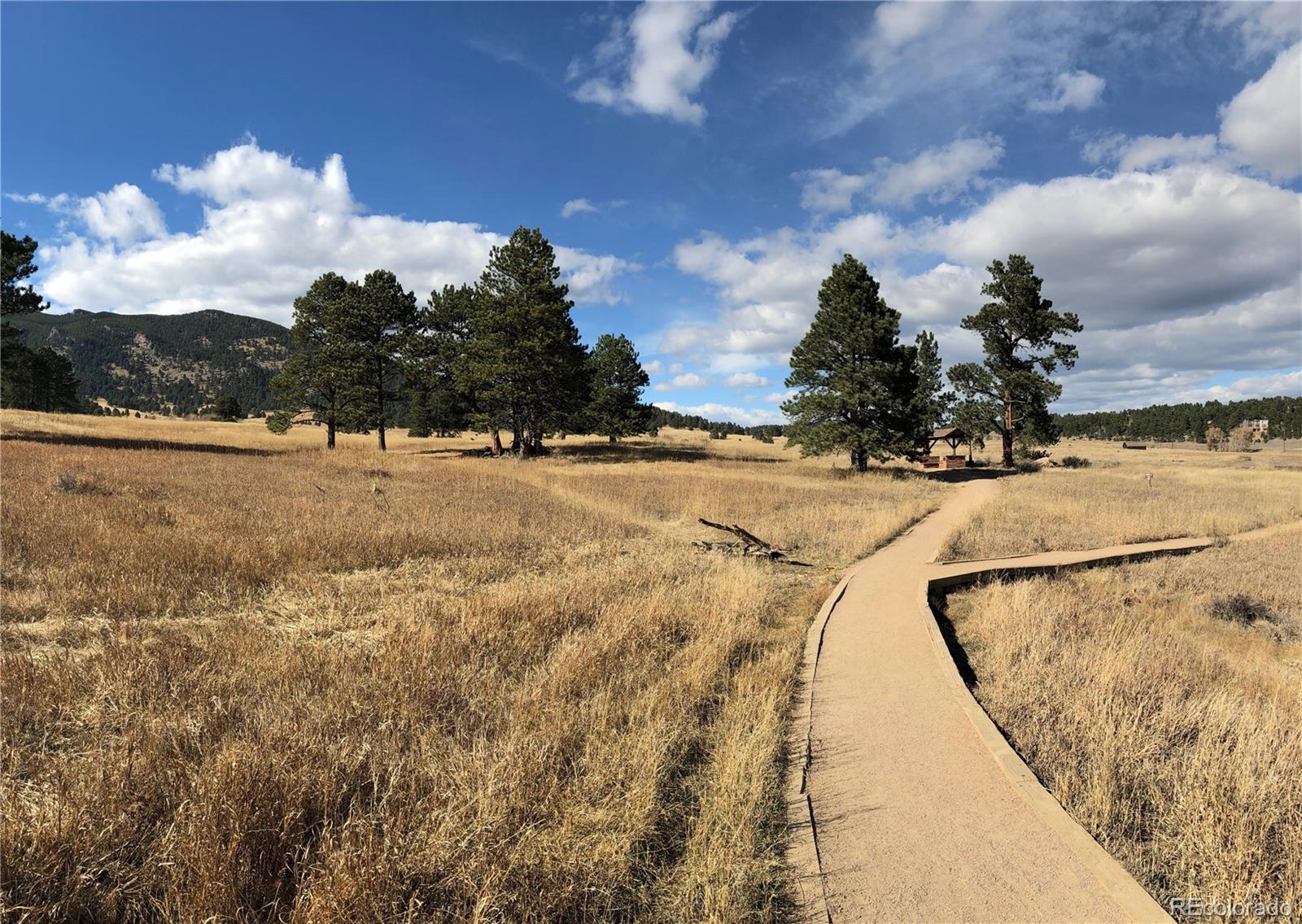 MLS Image #22 for 3518 s saddle road,evergreen, Colorado
