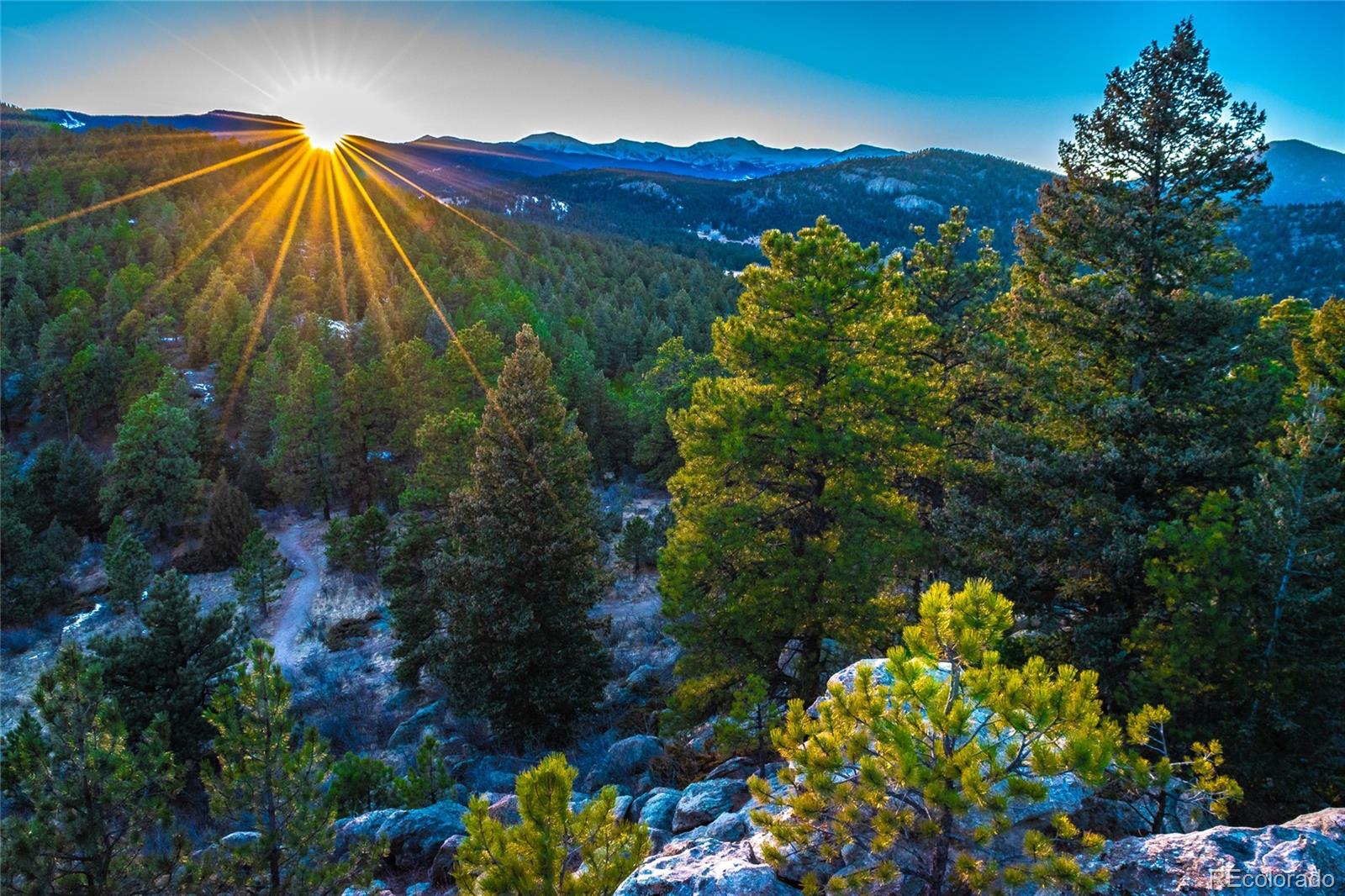 MLS Image #25 for 3518 s saddle road,evergreen, Colorado
