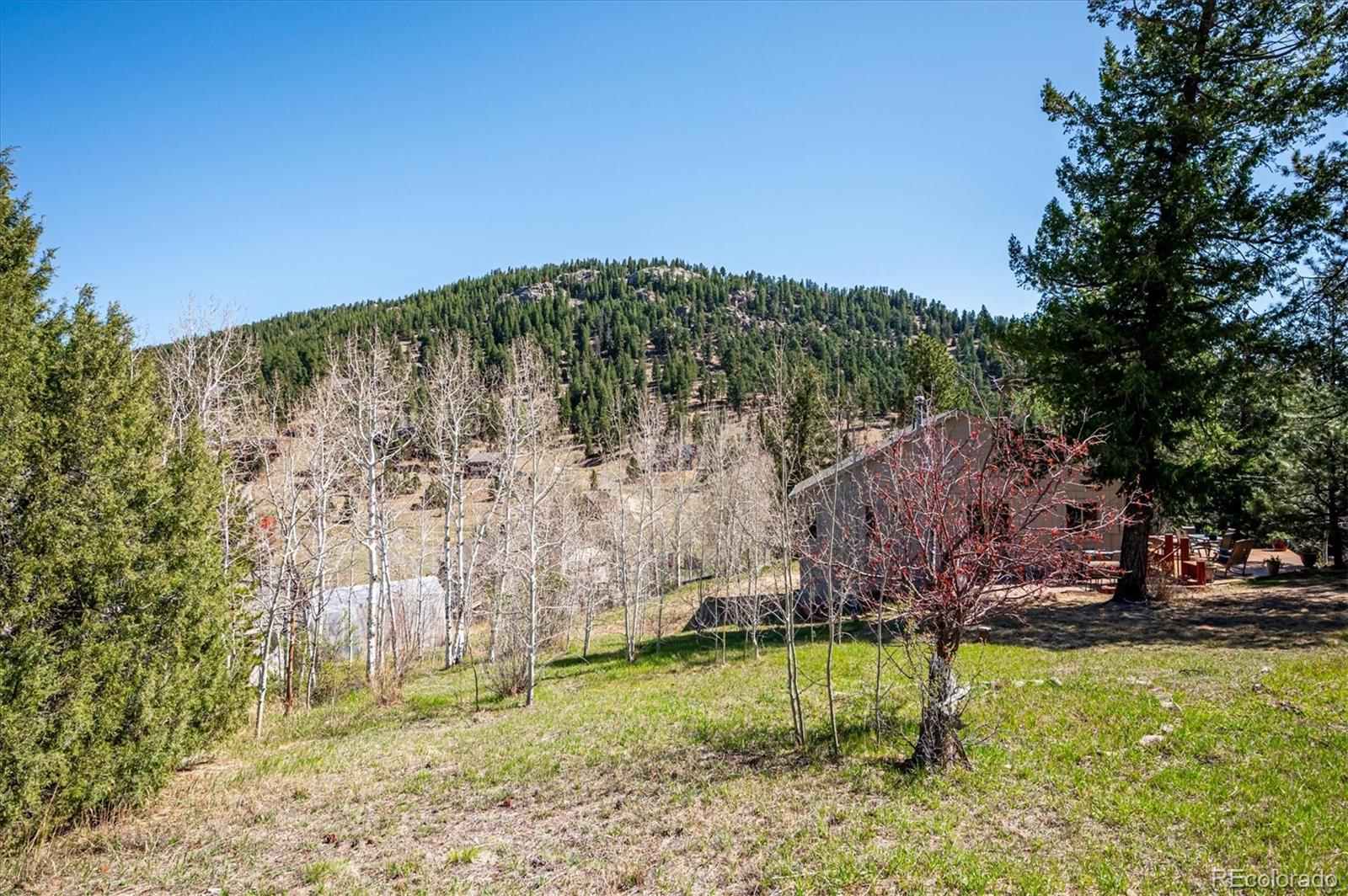 MLS Image #30 for 6321  arapahoe drive,evergreen, Colorado