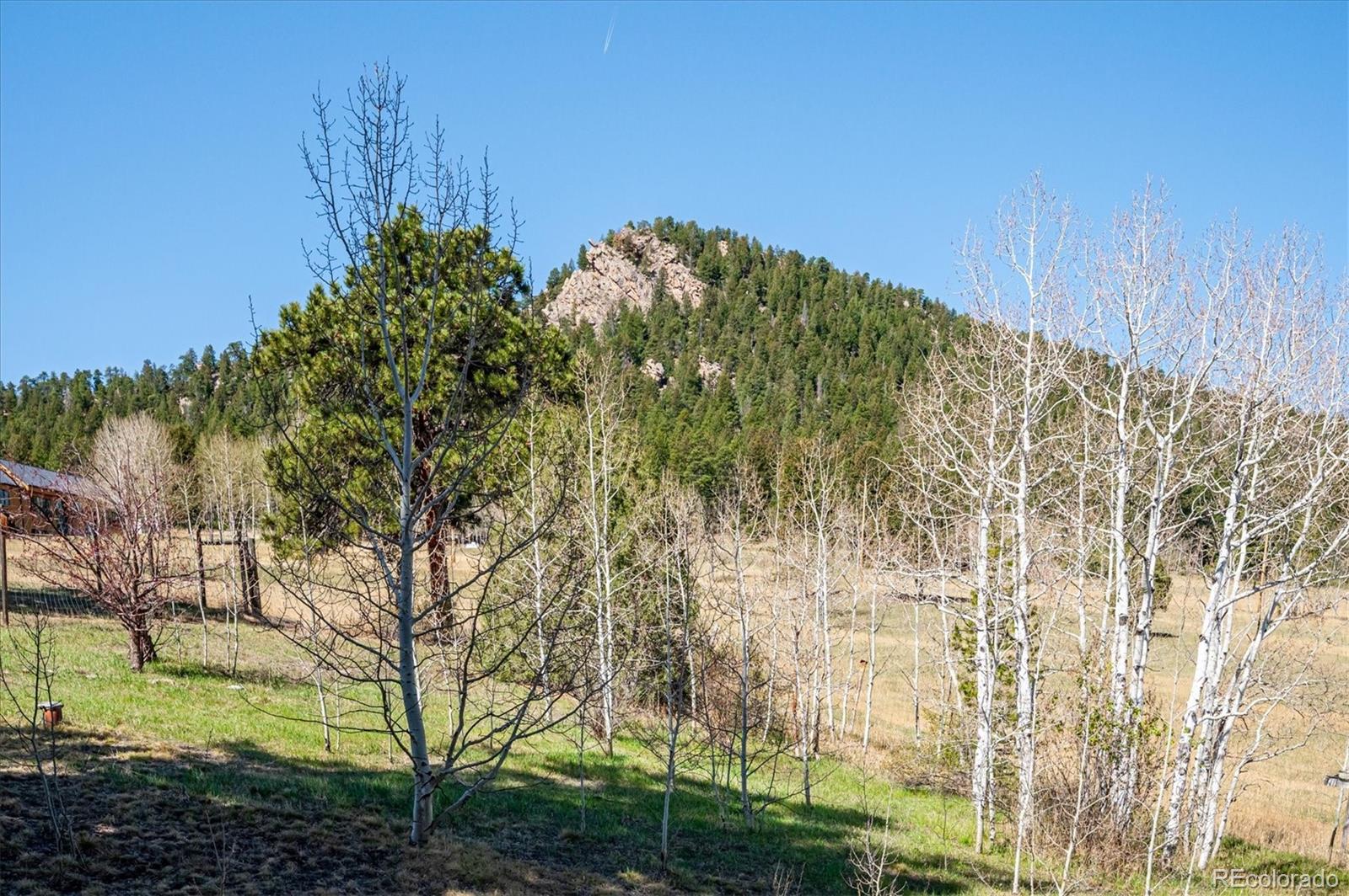 MLS Image #39 for 6321  arapahoe drive,evergreen, Colorado
