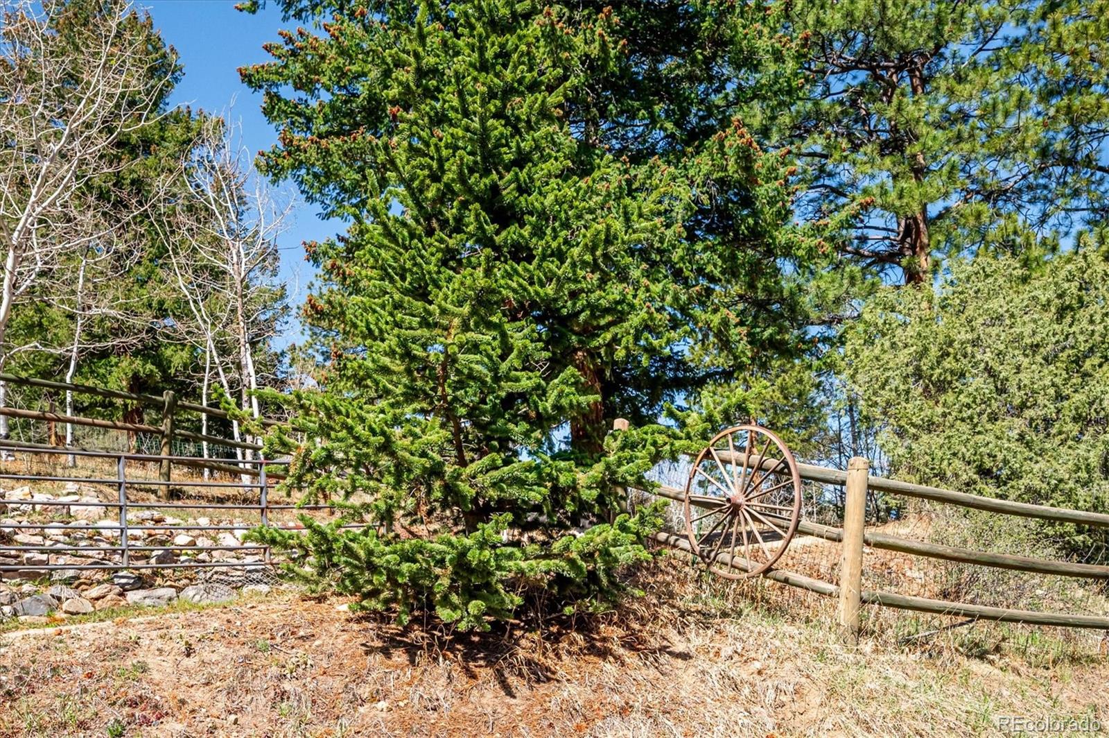 MLS Image #41 for 6321  arapahoe drive,evergreen, Colorado