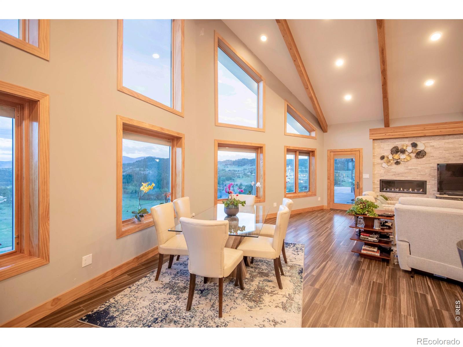 MLS Image #10 for 91  eagle rising place,livermore, Colorado