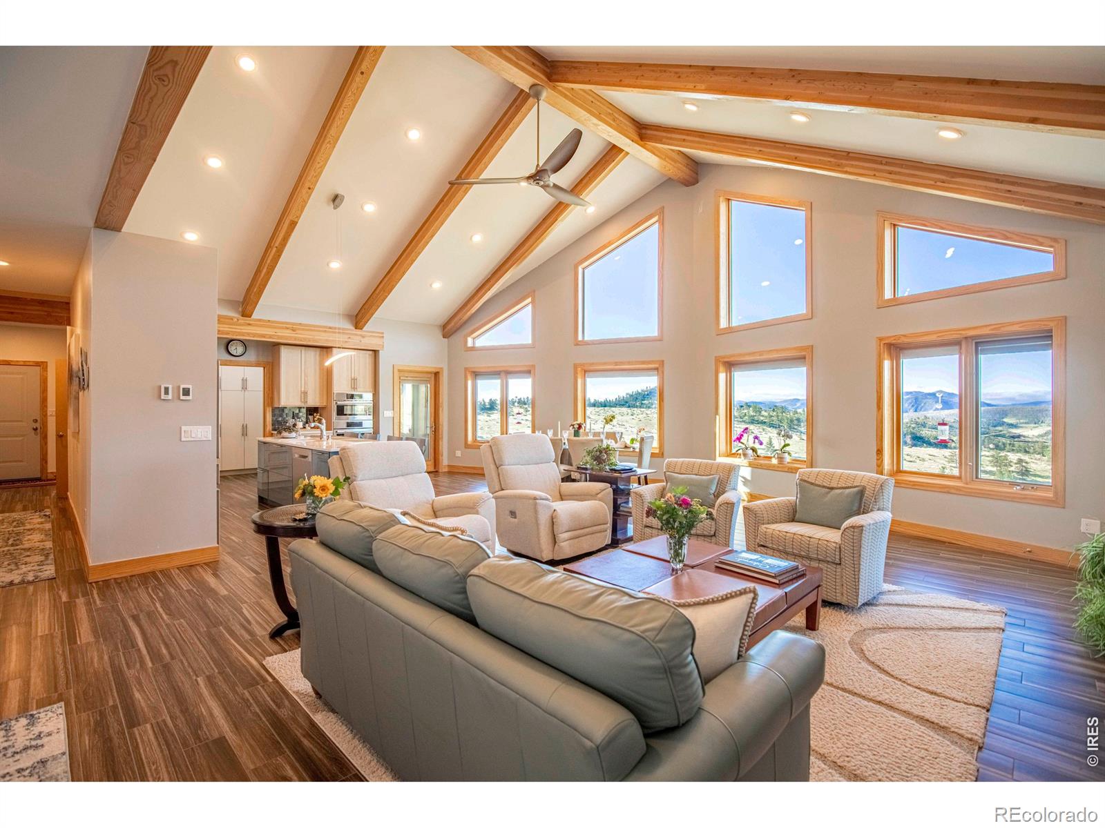 MLS Image #5 for 91  eagle rising place,livermore, Colorado