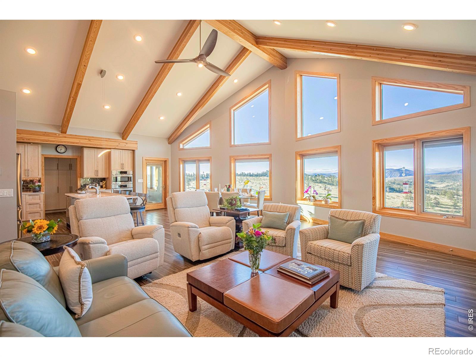 MLS Image #6 for 91  eagle rising place,livermore, Colorado