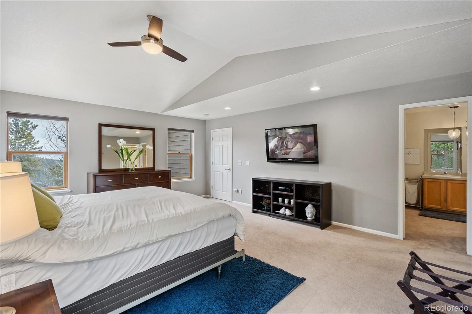 MLS Image #22 for 1758  sinton road,evergreen, Colorado