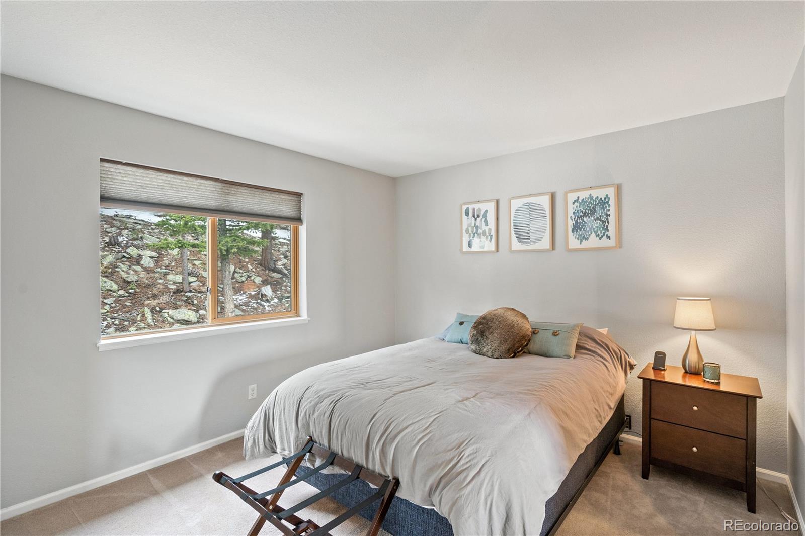 MLS Image #29 for 1758  sinton road,evergreen, Colorado