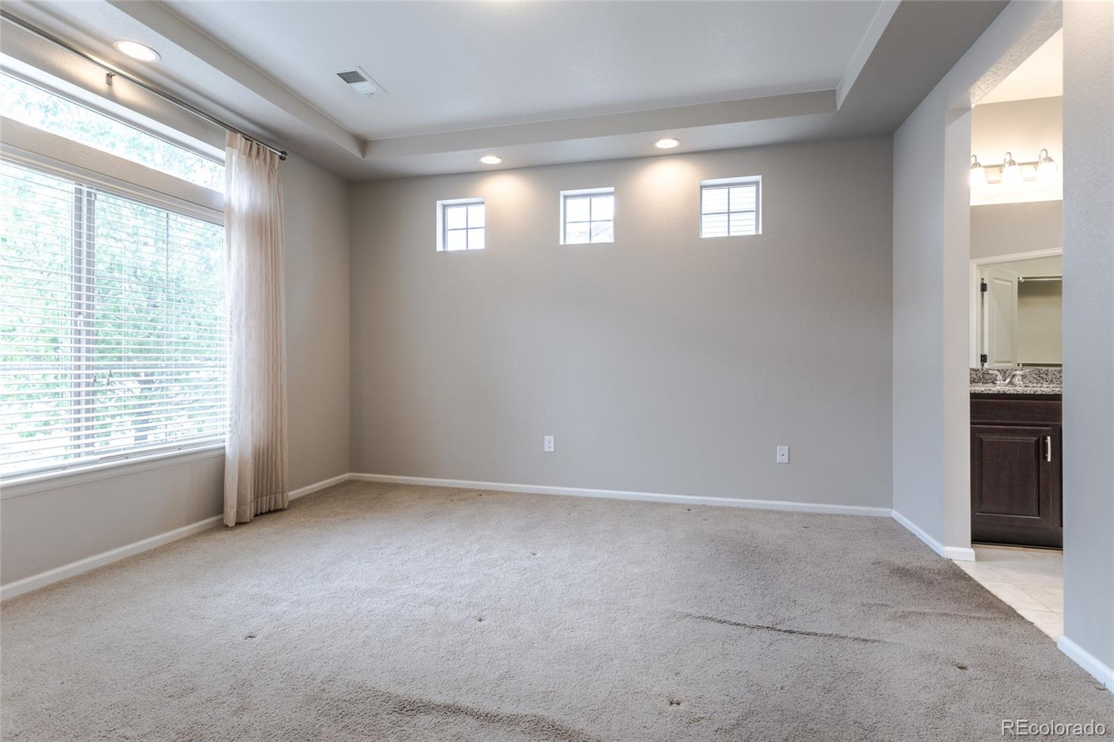 MLS Image #9 for 19754 e 54th place,denver, Colorado
