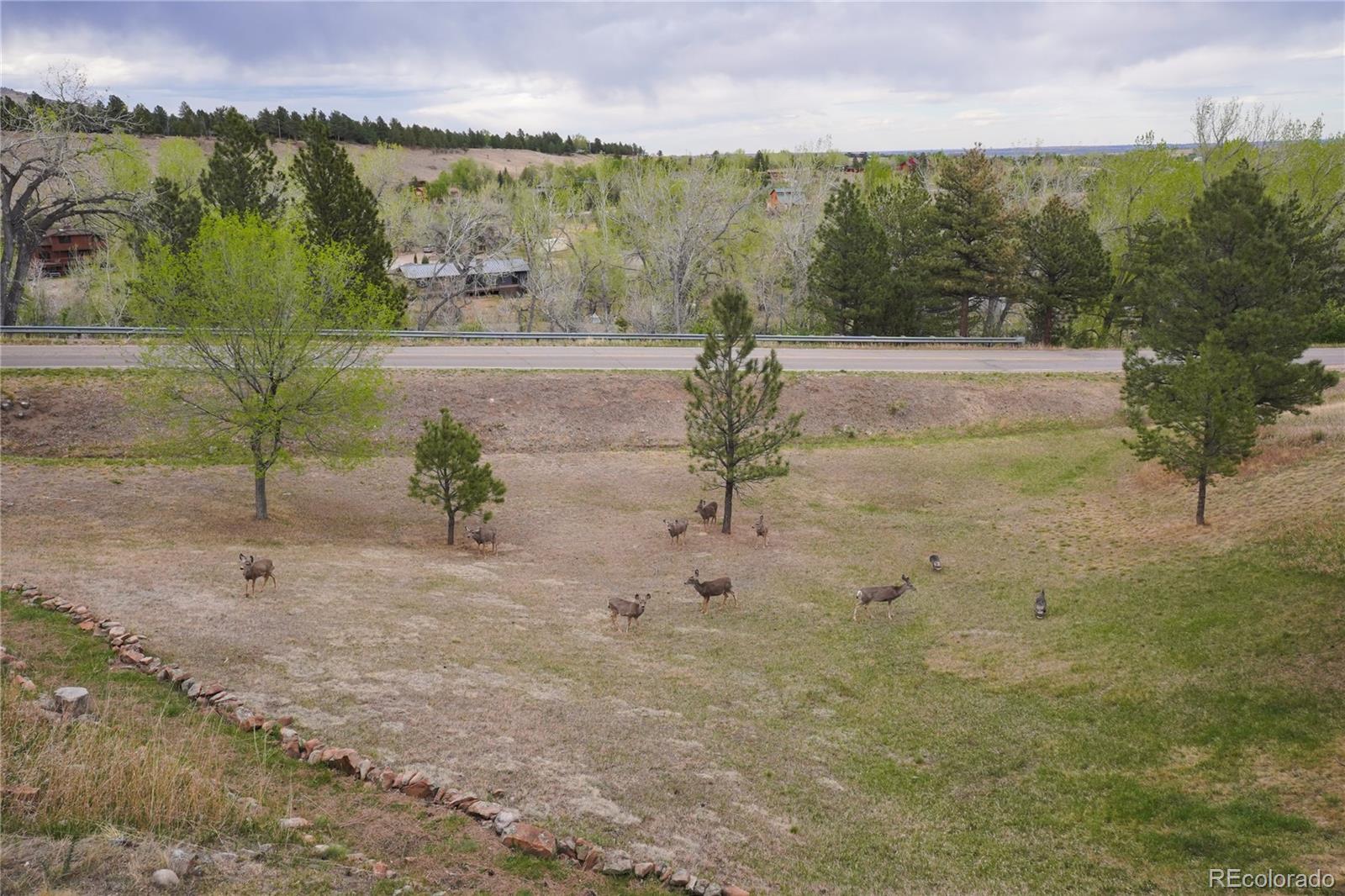 MLS Image #32 for 8664  middle fork road,boulder, Colorado