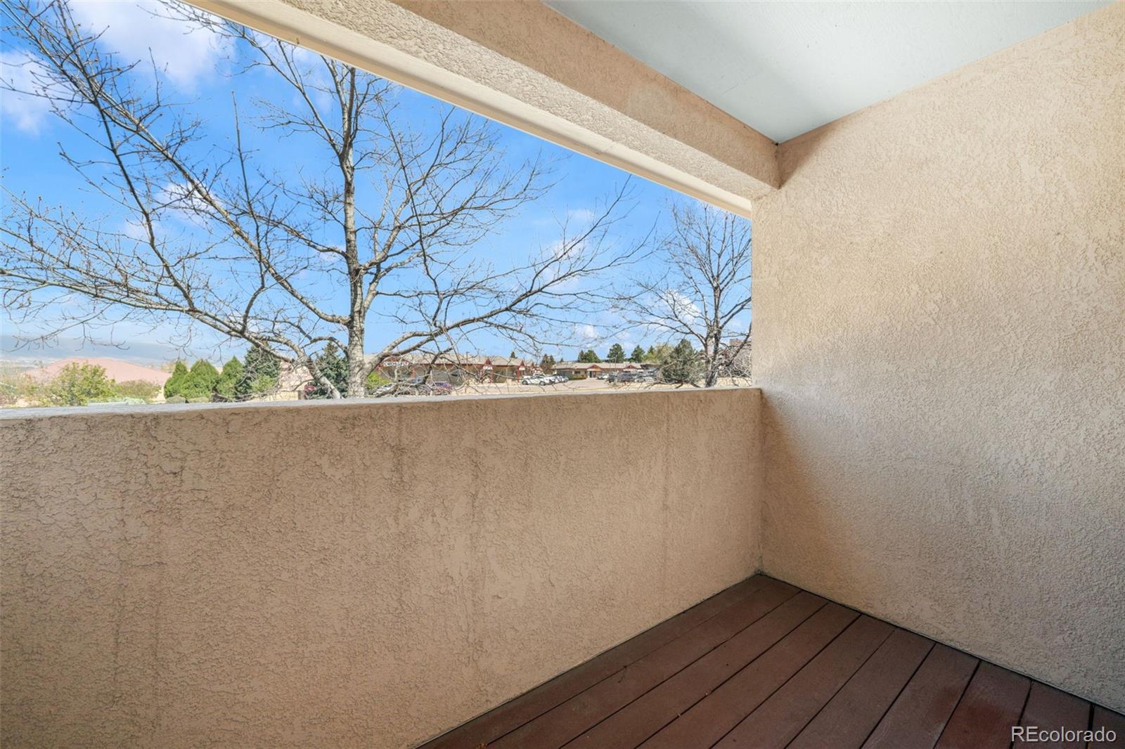 MLS Image #20 for 270  luxury lane,colorado springs, Colorado