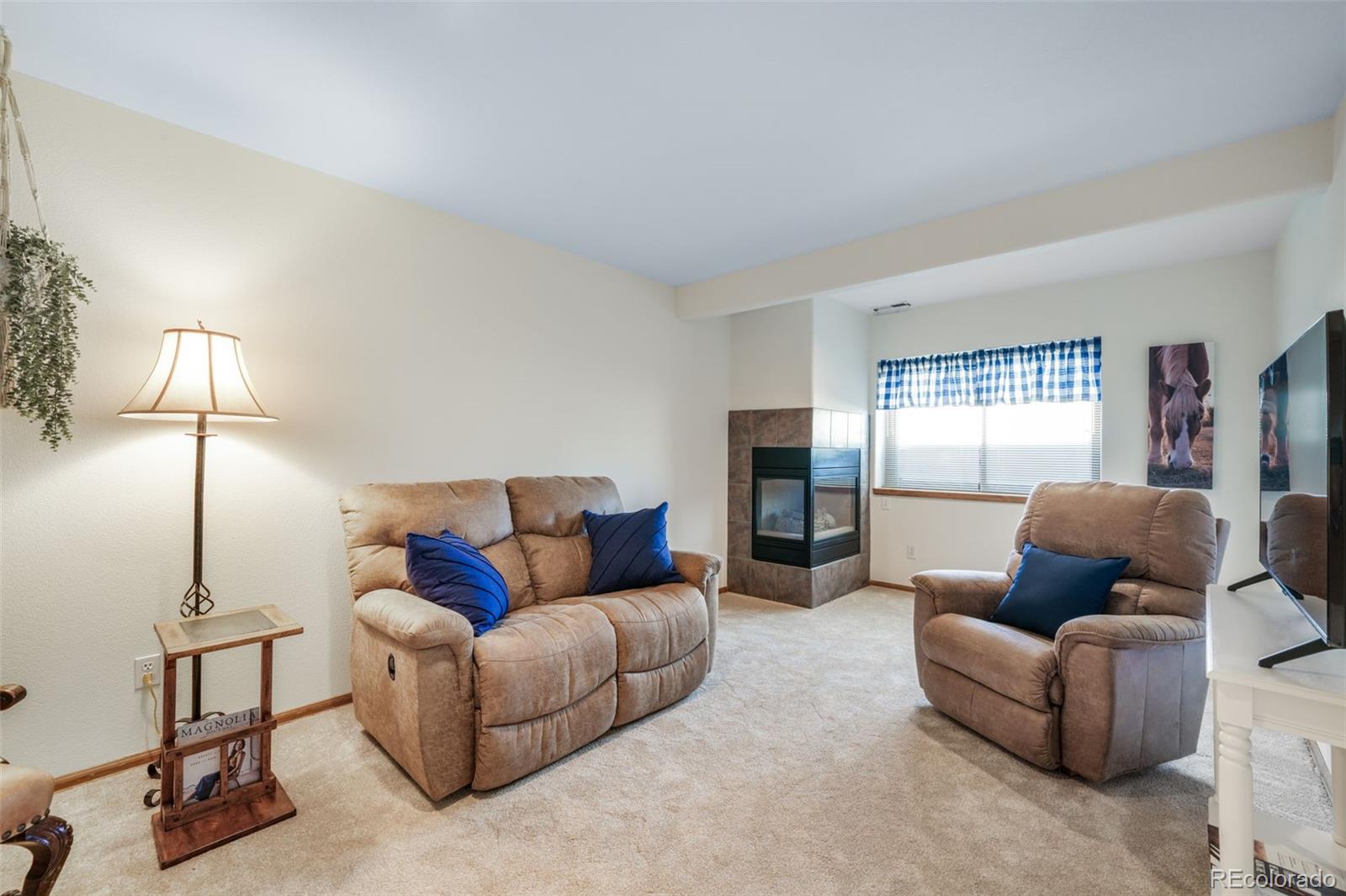 MLS Image #29 for 270  luxury lane,colorado springs, Colorado