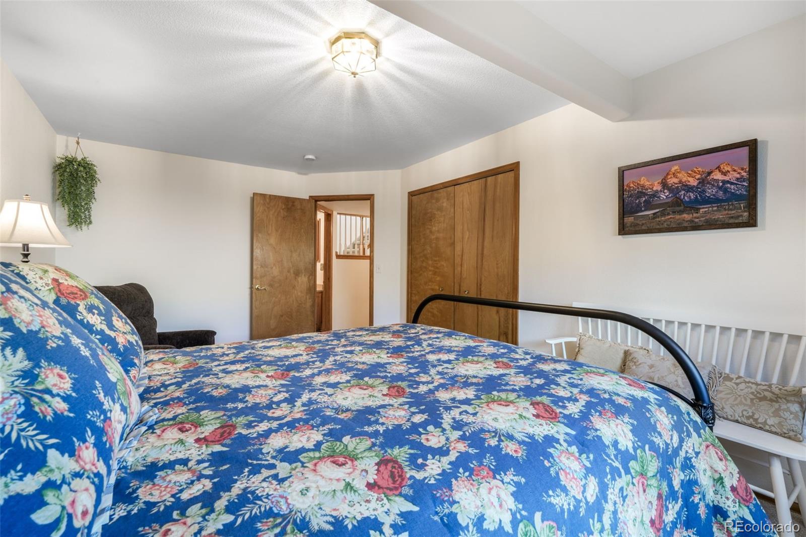 MLS Image #37 for 270  luxury lane,colorado springs, Colorado