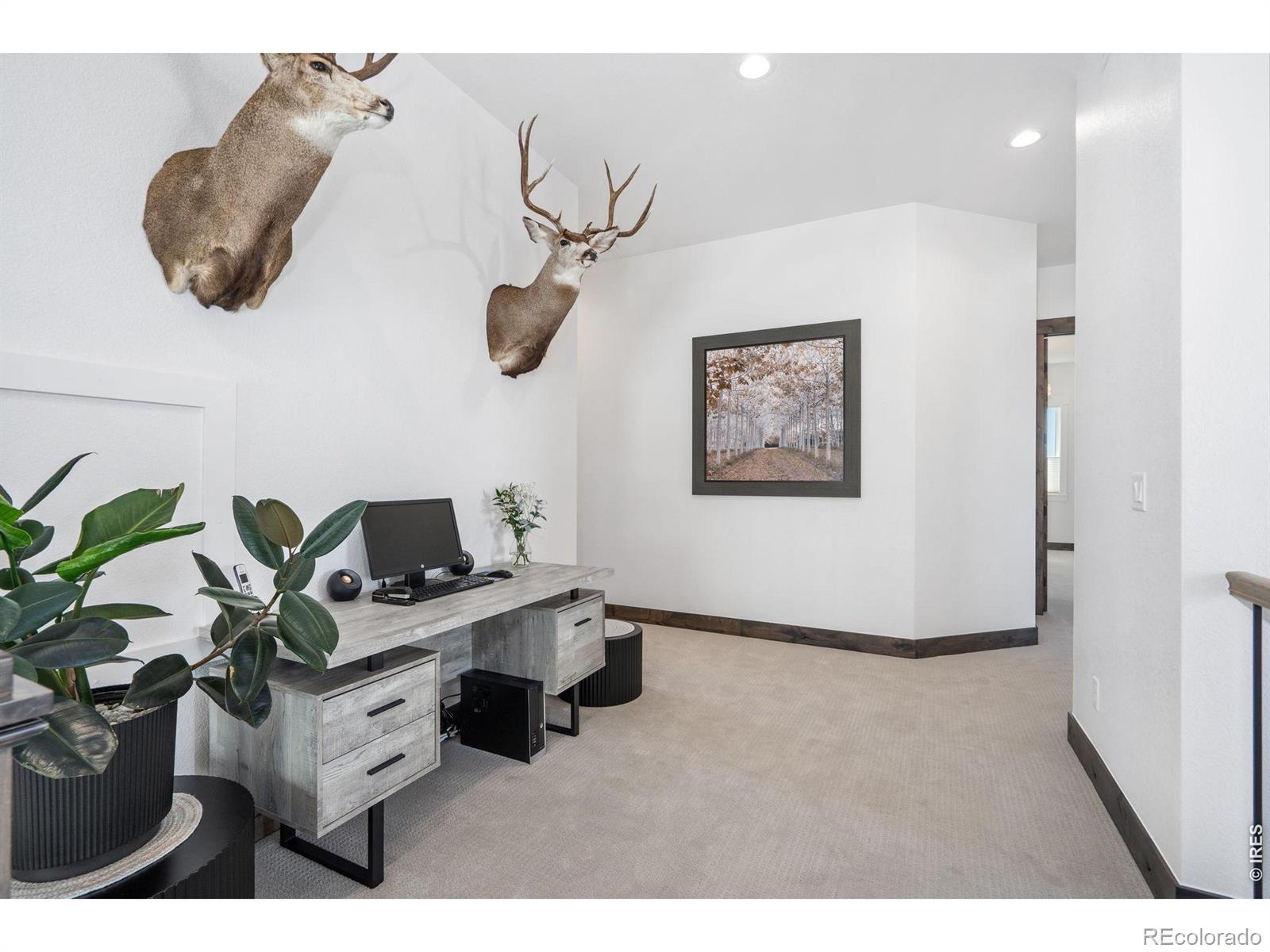 MLS Image #21 for 2922  lake verna drive,loveland, Colorado