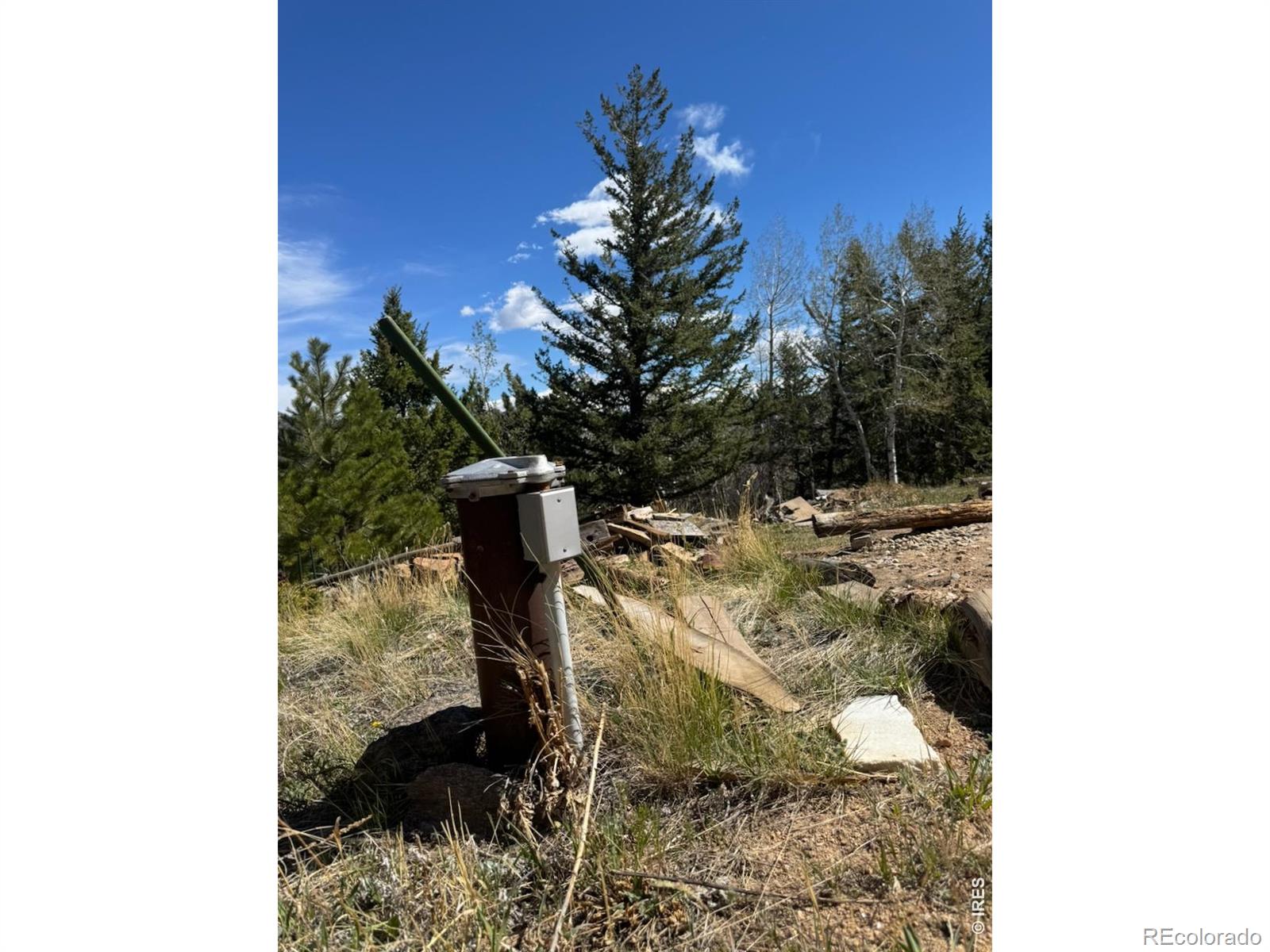 MLS Image #18 for 1241  giant track road,estes park, Colorado