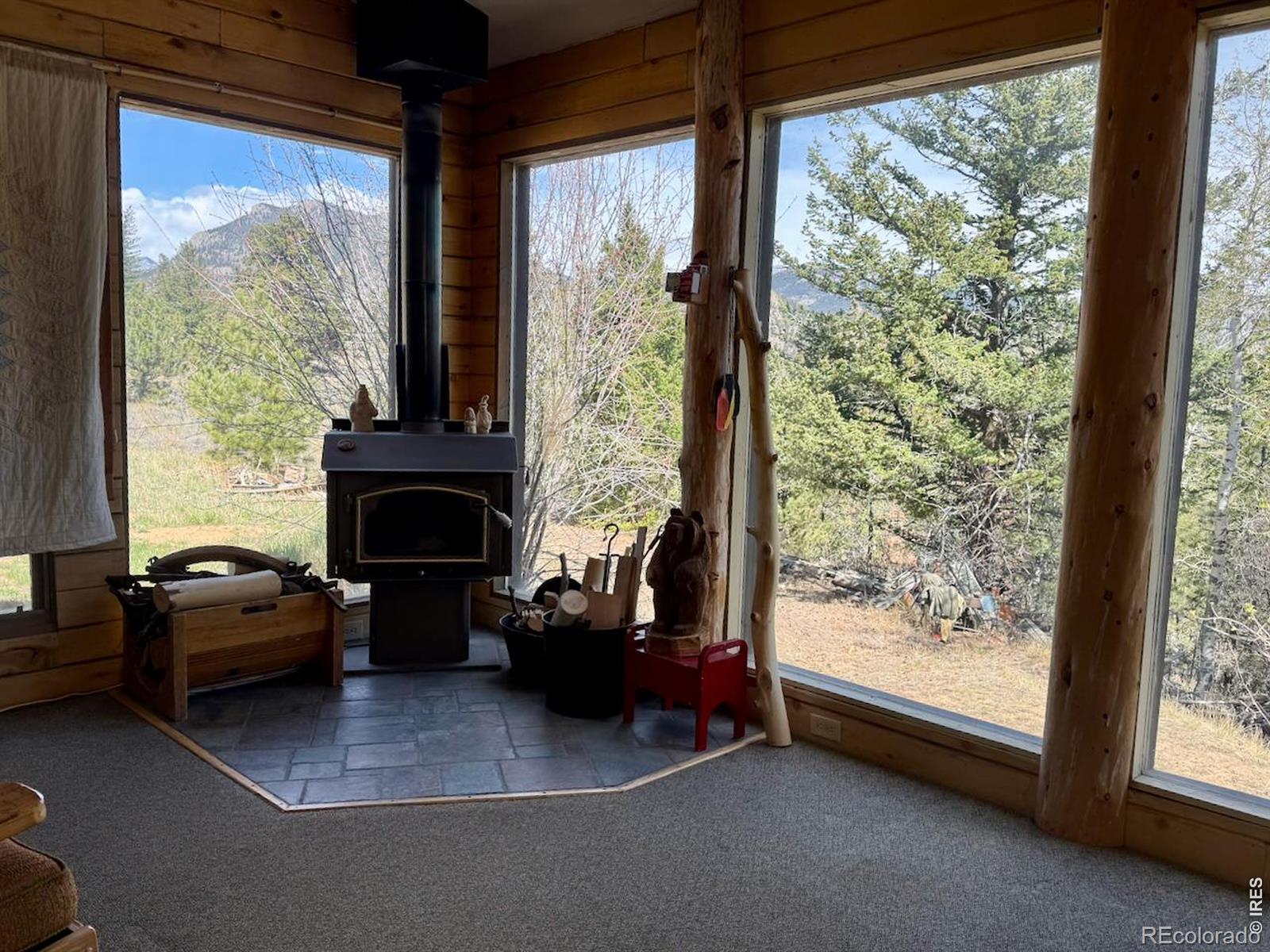 MLS Image #4 for 1241  giant track road,estes park, Colorado
