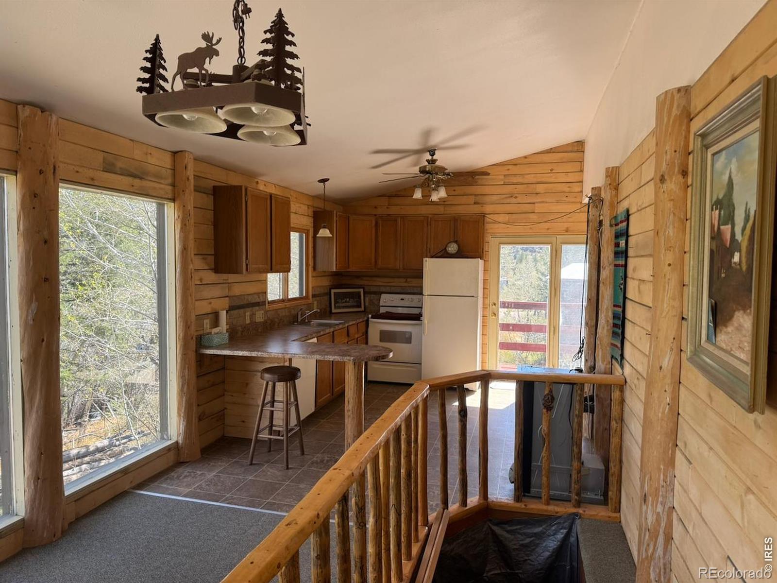MLS Image #5 for 1241  giant track road,estes park, Colorado