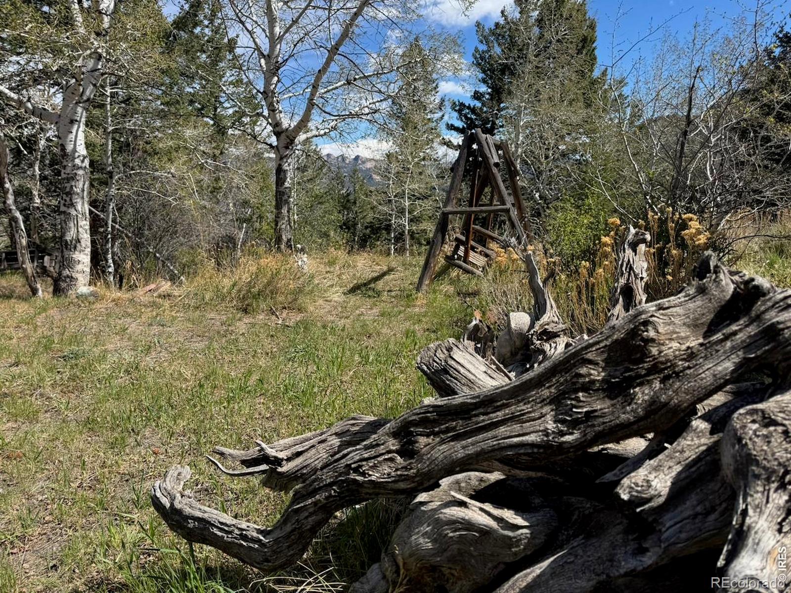MLS Image #7 for 1241  giant track road,estes park, Colorado