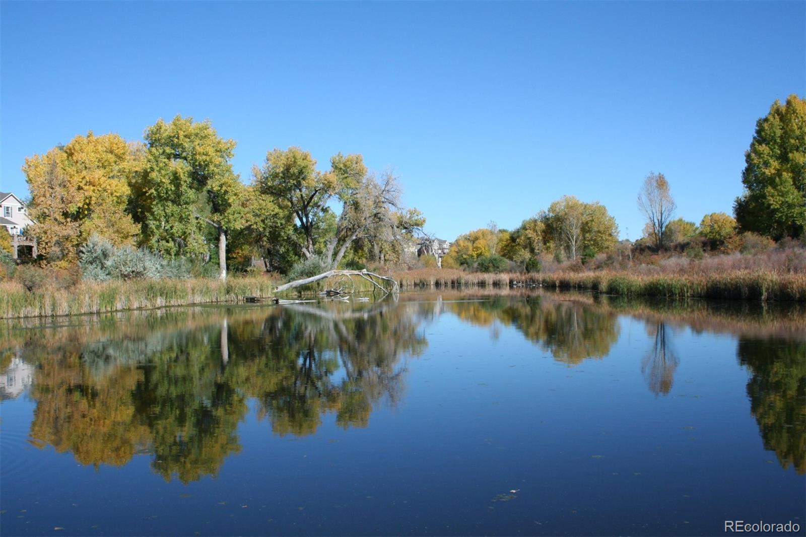 MLS Image #32 for 10735  zuni drive,denver, Colorado
