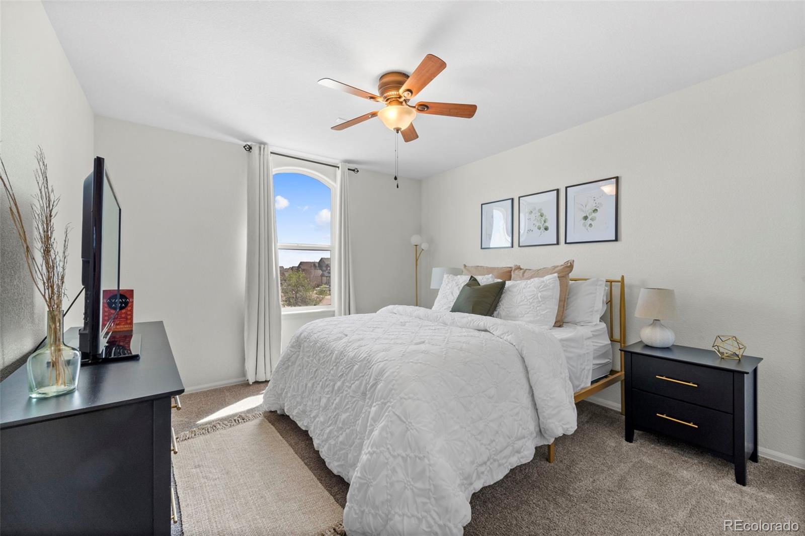 MLS Image #25 for 10418  silver stirrup drive,colorado springs, Colorado
