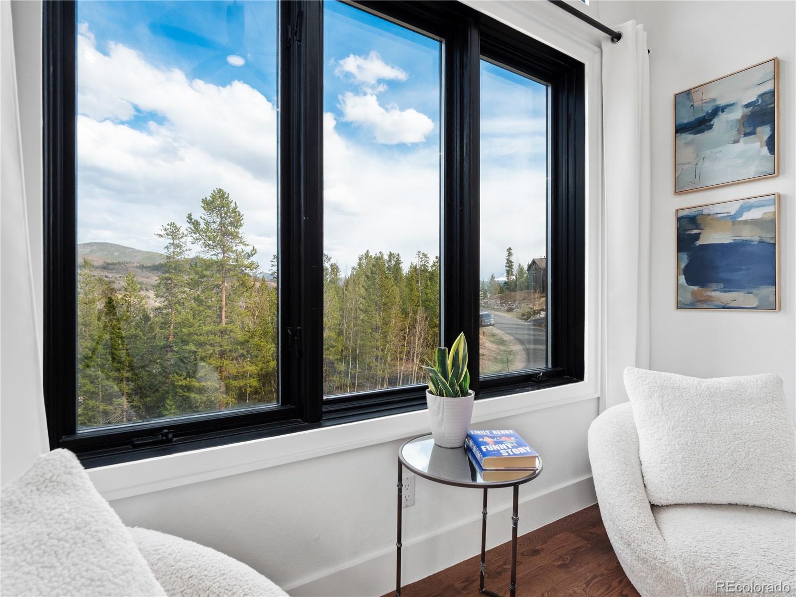 MLS Image #13 for 1799  falcon drive,silverthorne, Colorado