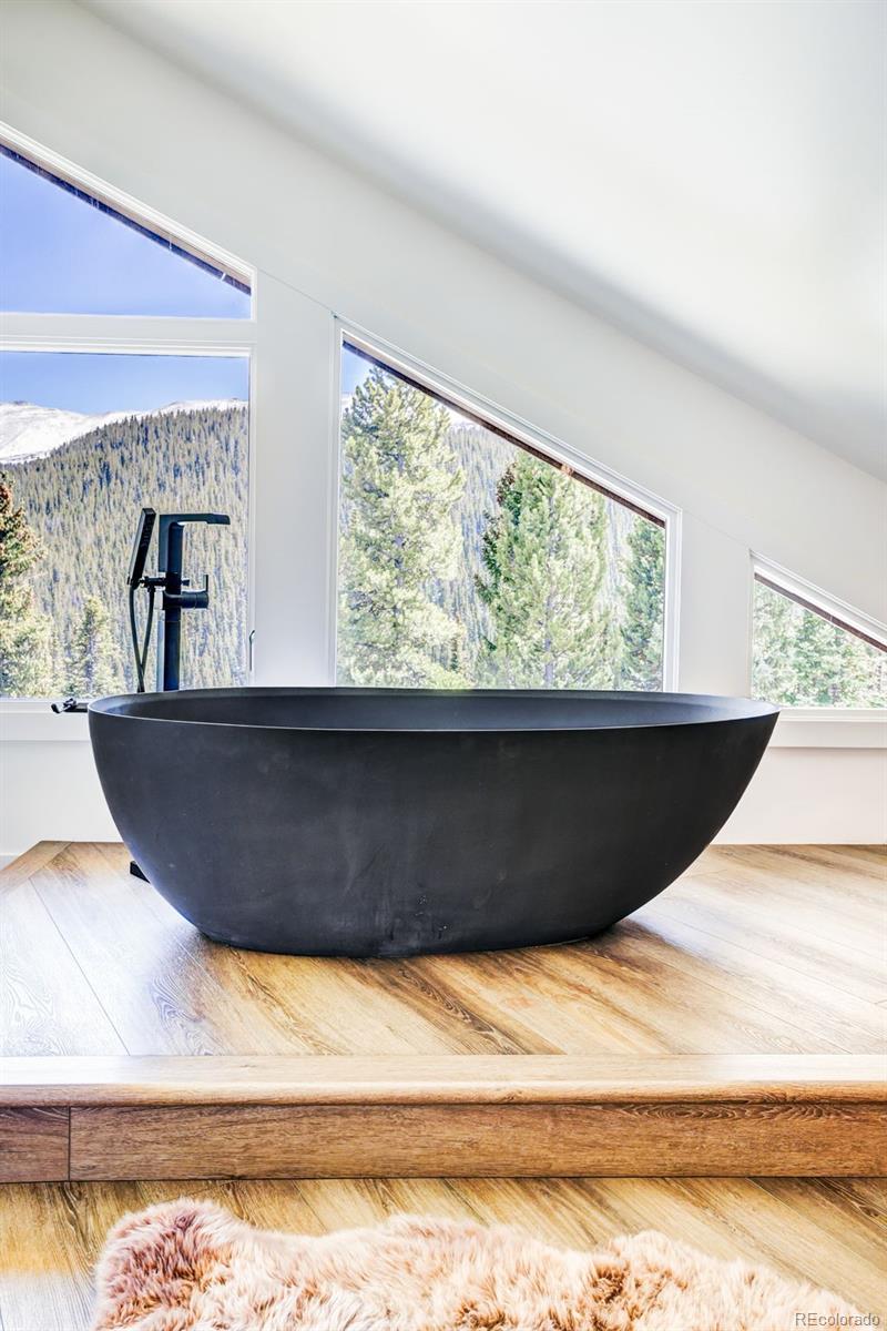 MLS Image #13 for 324  carroll lane,breckenridge, Colorado