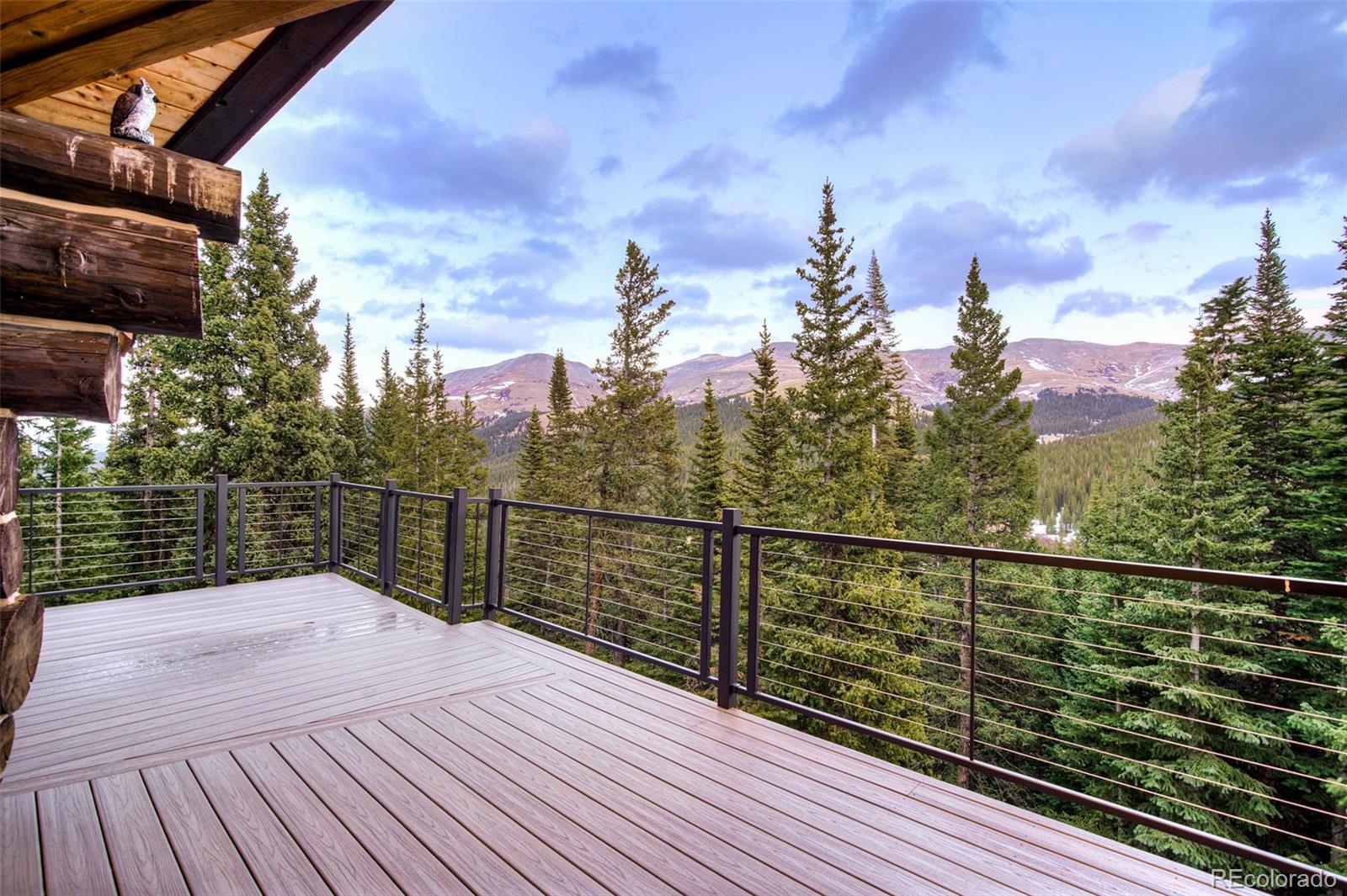 MLS Image #38 for 324  carroll lane,breckenridge, Colorado