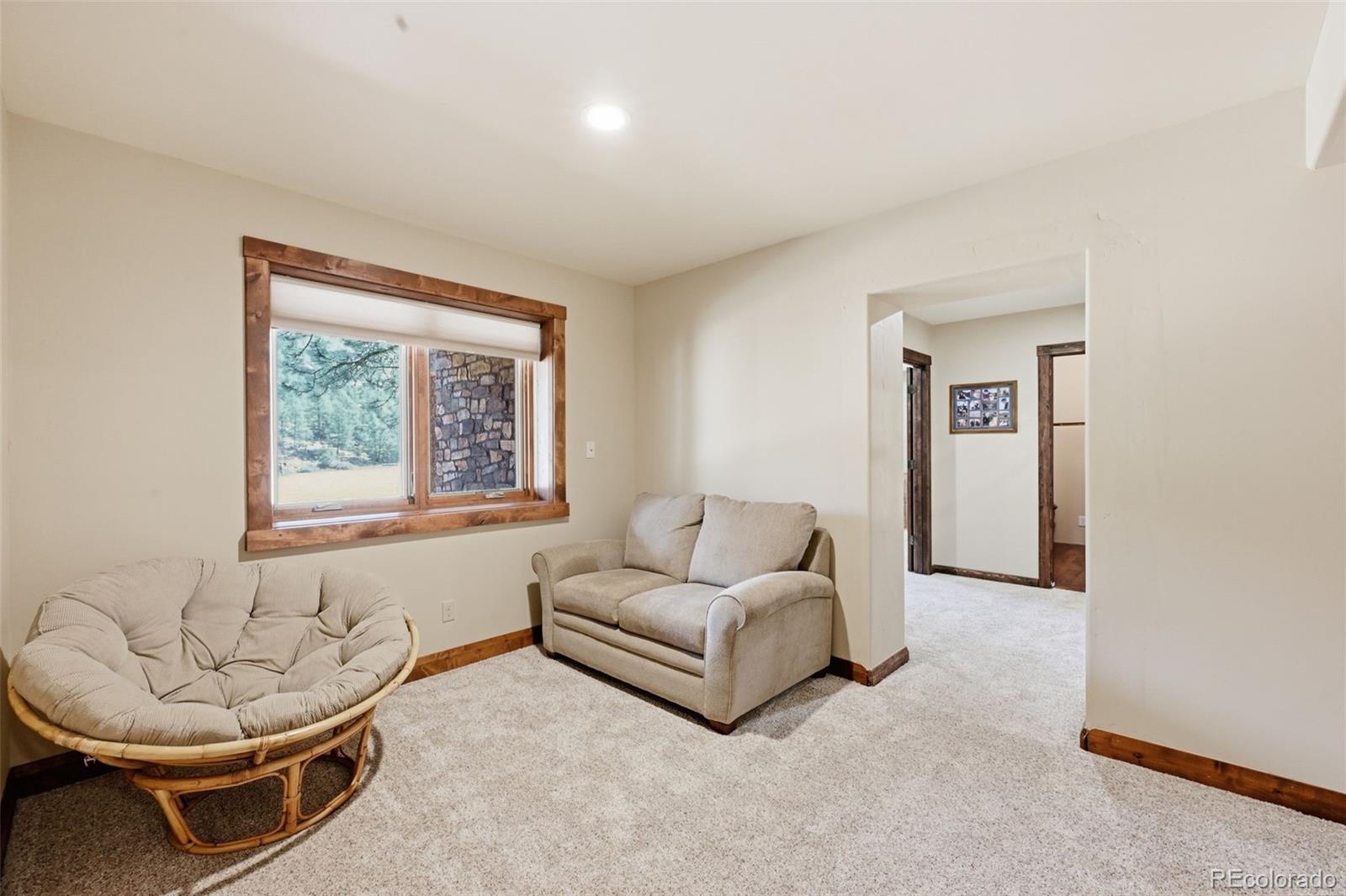 MLS Image #32 for 89  ranch view ,florissant, Colorado