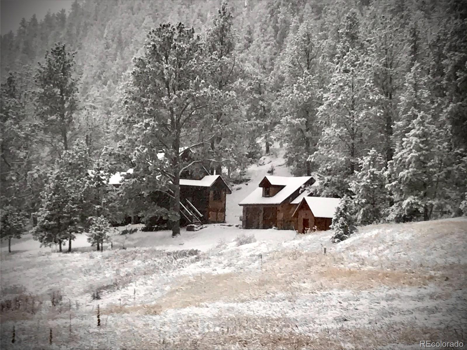 MLS Image #47 for 89  ranch view ,florissant, Colorado